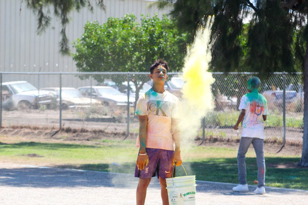 ButtonwillowUSD tweet media