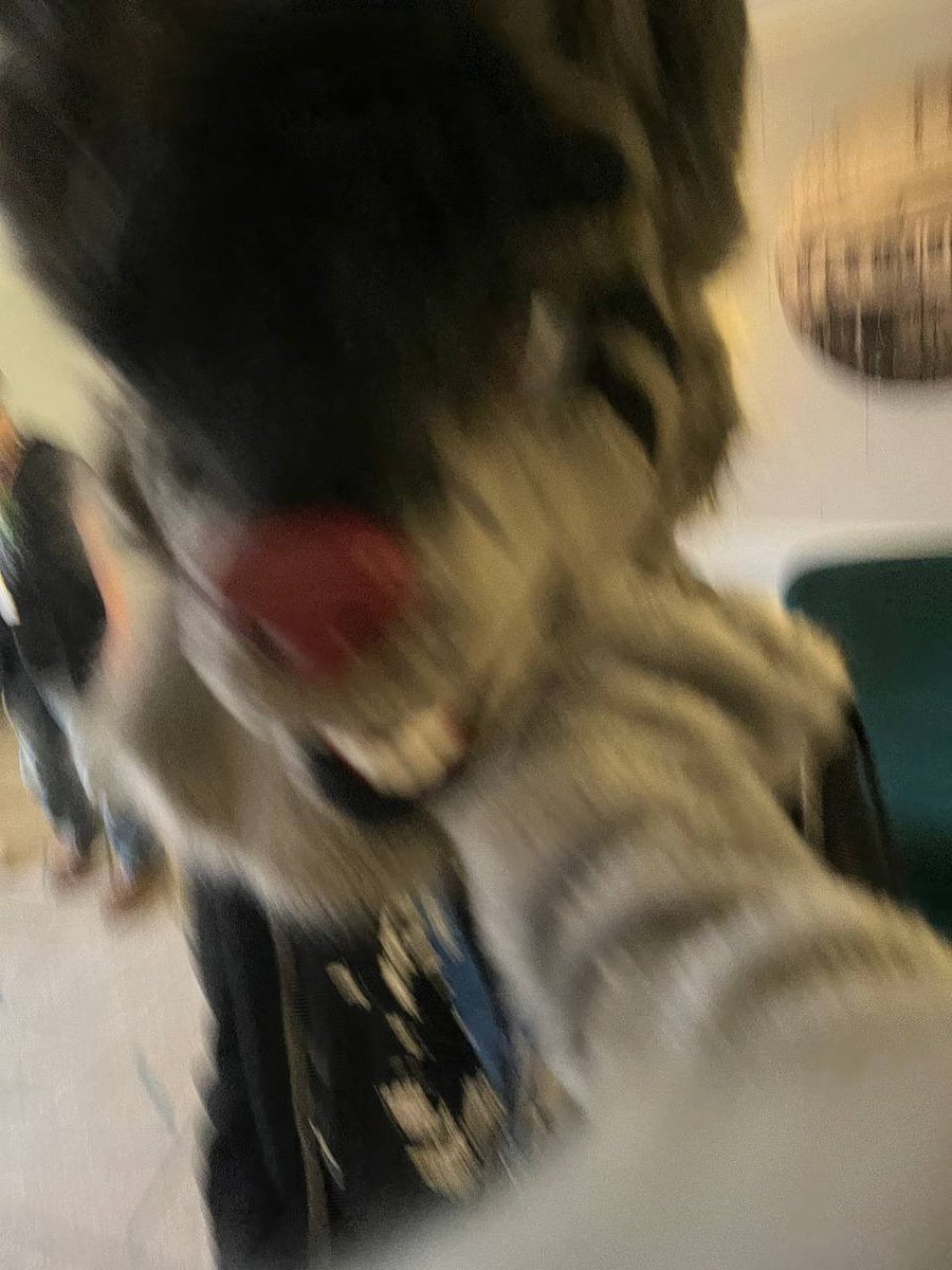 it wants you.

#confuzzled2025