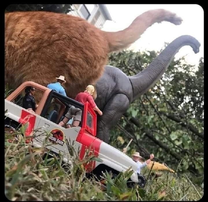 PunchingCat's tweet photo. https://t.co/2DFqsByoSn