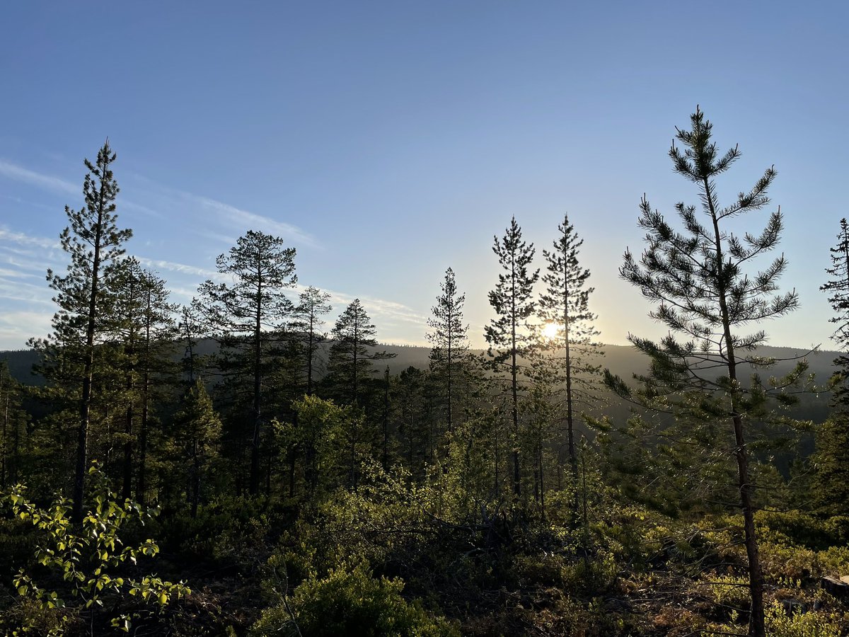 Sunset 21.00. Enjoy your weekend