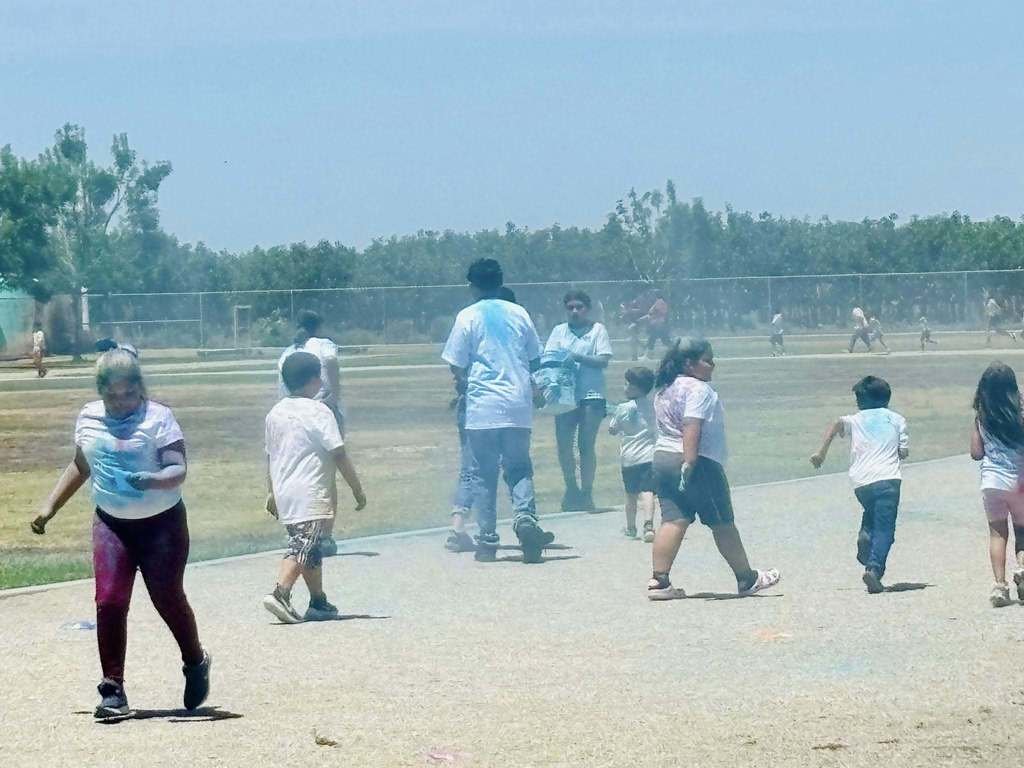 ButtonwillowUSD tweet media