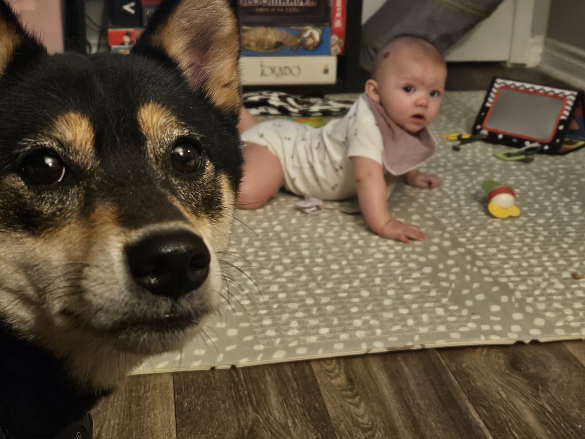 angel_https's tweet image. :o