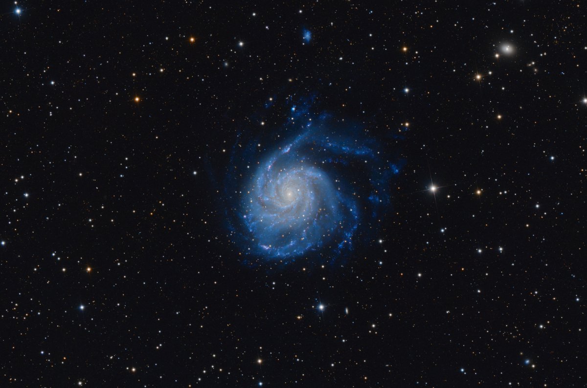 The Pinwheel Galaxy (M 101) captured with my backyard telescope. ✨🔭