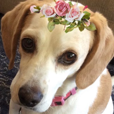 Katiebug tweet media