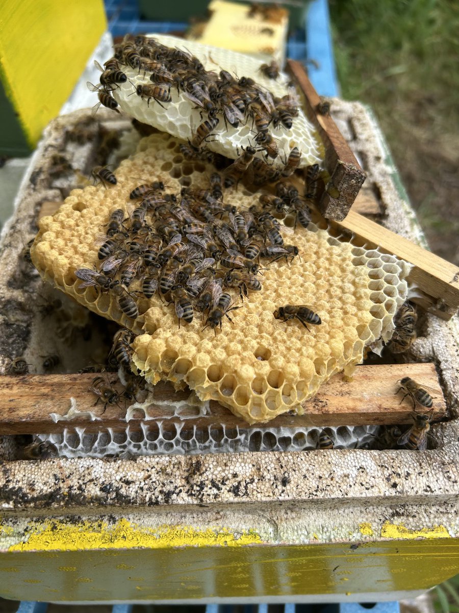 Rob wilson tweet media