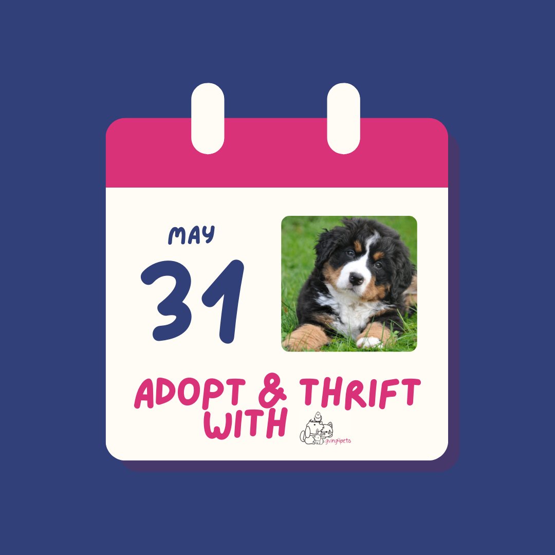 Got plans next Sat? Join us at our monthly Adopt &amp; Thrift event at the Giving4Pets Thrift Store 🐶❤️ Meet rescues looking to be adopted and participate in fun activities like the BBQ or the shop at 70% off everything in-store! 

📅 May 31, 10am-2pm
📍10761 W Peoria Ave, Sun City