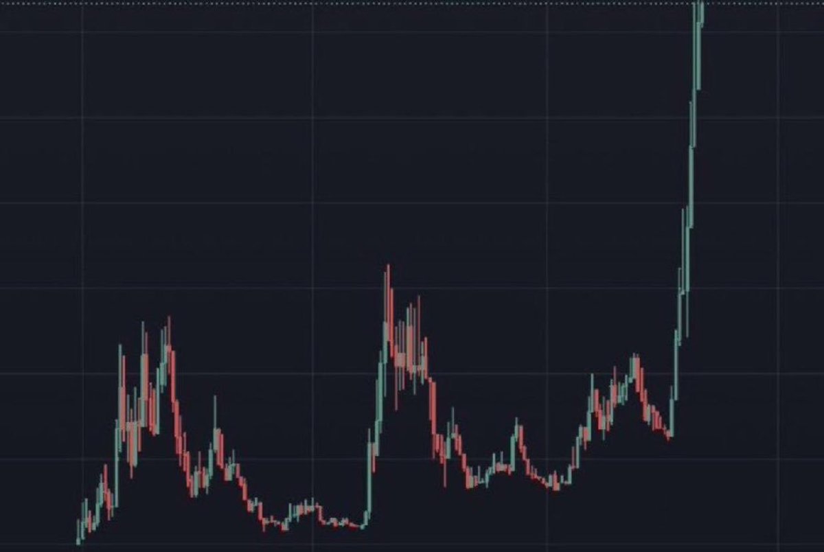 WIT memecoin is ready to do this?