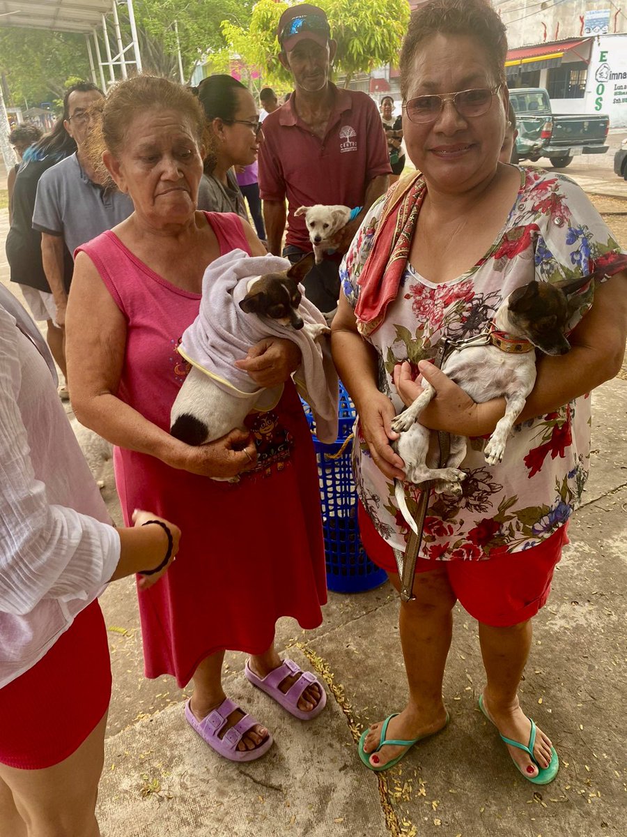 PVEMTABASCO (@pvemtabasco) on Twitter photo 🐾 Con <a href="/diegoedelao/">Diego De la O Cetina</a> Francisco Mena, Citlali Soto y Cristina Martínez realizamos una campaña de vacunación y desparasitación en Indeco.
Atendemos necesidades reales y fortalecemos nuestra ruta de afiliación. 💚
#BienestarAnimal #PartidoVerde #CentroTabasco 🐾 Con <a href="/diegoedelao/">Diego De la O Cetina</a> Francisco Mena, Citlali Soto y Cristina Martínez realizamos una campaña de vacunación y desparasitación en Indeco.
Atendemos necesidades reales y fortalecemos nuestra ruta de afiliación. 💚
#BienestarAnimal #PartidoVerde #CentroTabasco