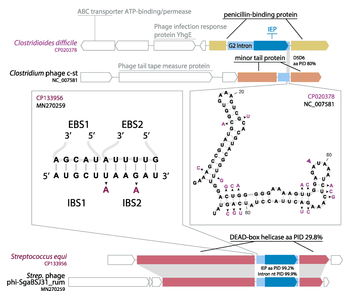 Liana Merk tweet media