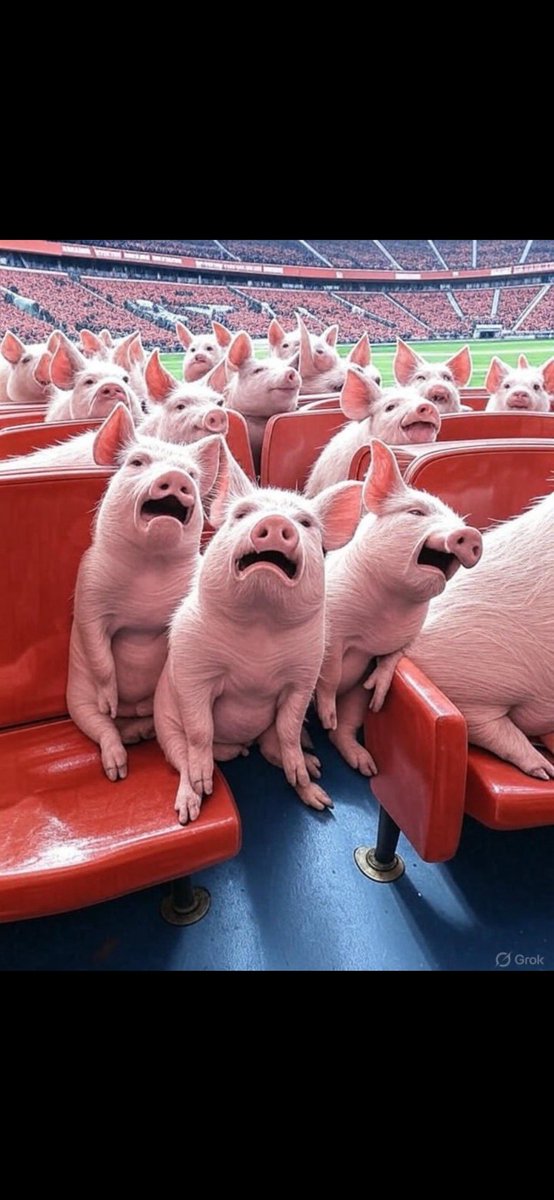pigmuppets's tweet photo. @milotkartal @SheffieldUnited Phaaaaa haaaaaaa muppet https://t.co/HwosPhFZVy