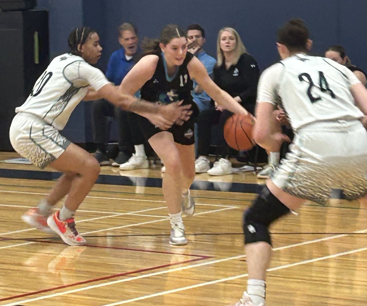 Fredericton Freeze (@freezemwba) on Twitter photo We are through 30 minutes at refurbished <a href="/MSVU_Halifax/">Mount Saint Vincent University</a> & have a 74-46 lead over <a href="/HfxHornets/">Halifax Hornets</a> We are through 30 minutes at refurbished <a href="/MSVU_Halifax/">Mount Saint Vincent University</a> & have a 74-46 lead over <a href="/HfxHornets/">Halifax Hornets</a>