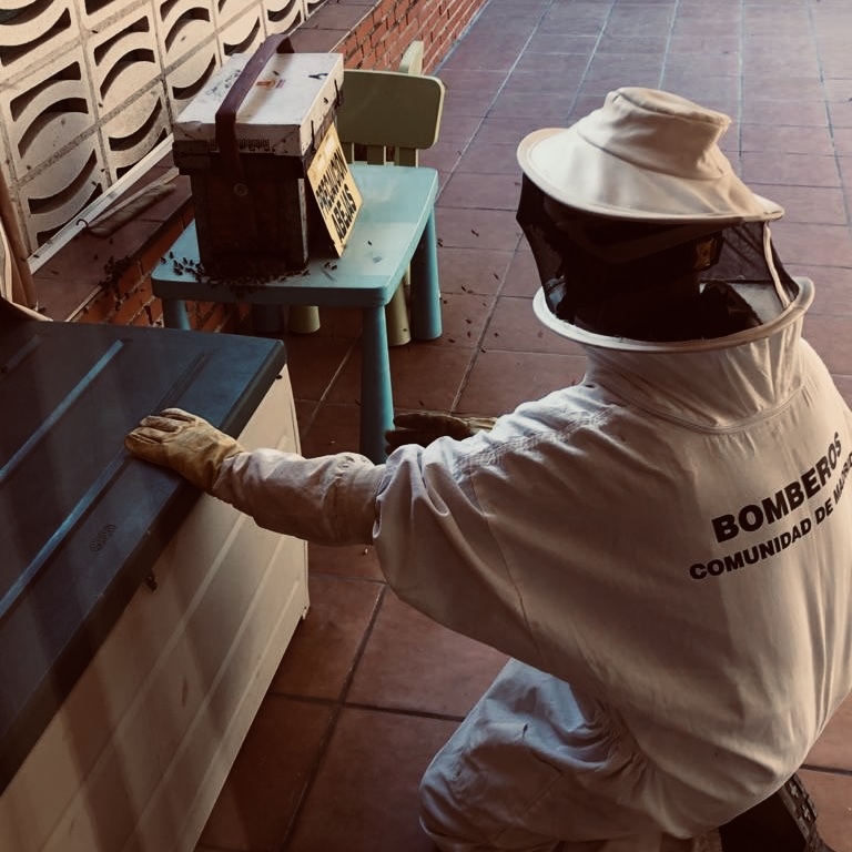 🐝 Es tiempo de abejas y se suceden las intervenciones de los #BomberosCM por este motivo.

¿Qué debes hacer si te encuentras con un enjambre?

1️⃣ No molestarlas.
2️⃣ Alejarte con tranquilidad.
3️⃣ Llamar al 112 y aportar la localización.

+Info: c.madrid/ofqjv2

#ASEM112