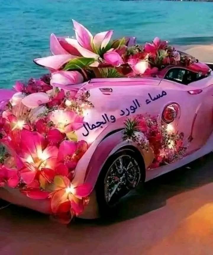 🍀🍀أعطى ولكن لا تسمح لنفسك أن تستغل
ثق  ولكن لا تكن ساذجا🍀🍀
🍀🍀العطاء هو قرار يجعل من الإنسان سعيدا 
ولا يملكه إلا أصحاب القلوب الرحيمة🍀🍀 
🍀🍀مسيناكم احبتى 
مساكم نرجس 🍀🍀