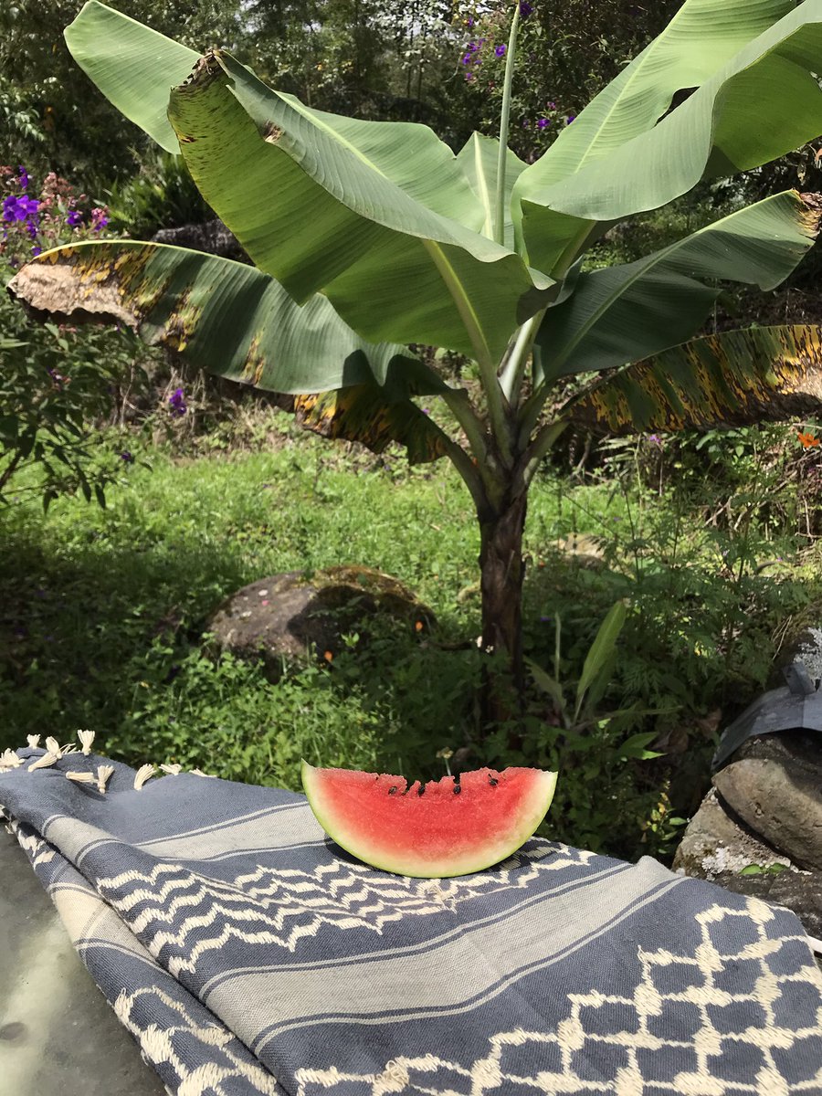 Ayer una pediatra perdió a sus 10 hijos en un bombardeo s¡0 n!sta, mientras ella trabajaba sanando a otros niños en las ruinas de un hospital y en medio de la precariedad.
<a href="/IsraelinSpanish/">Israel en Español</a> <a href="/Israel/">Israel ישראל</a> <a href="/IDF/">Israel Defense Forces</a> 
No hay forma de narrar tanto dolor.
!No hay derecho a tanta maldad! 🍉