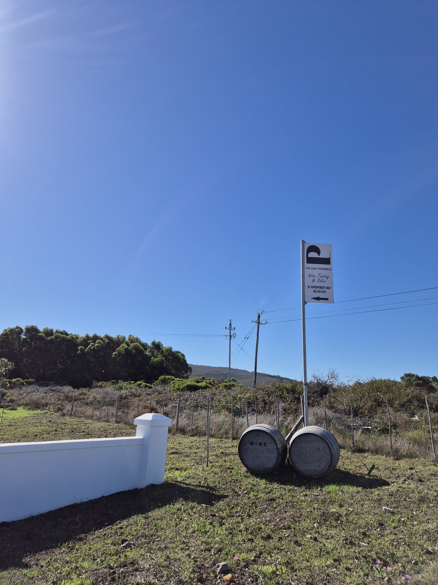 Had a great tasting at Giant Periwinkle today 🍷