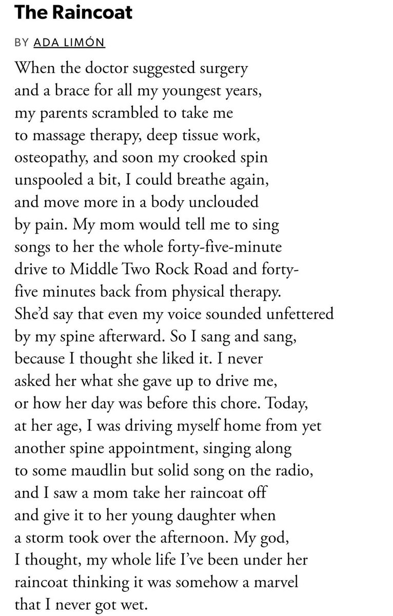 buy FENESTRATION tweet media