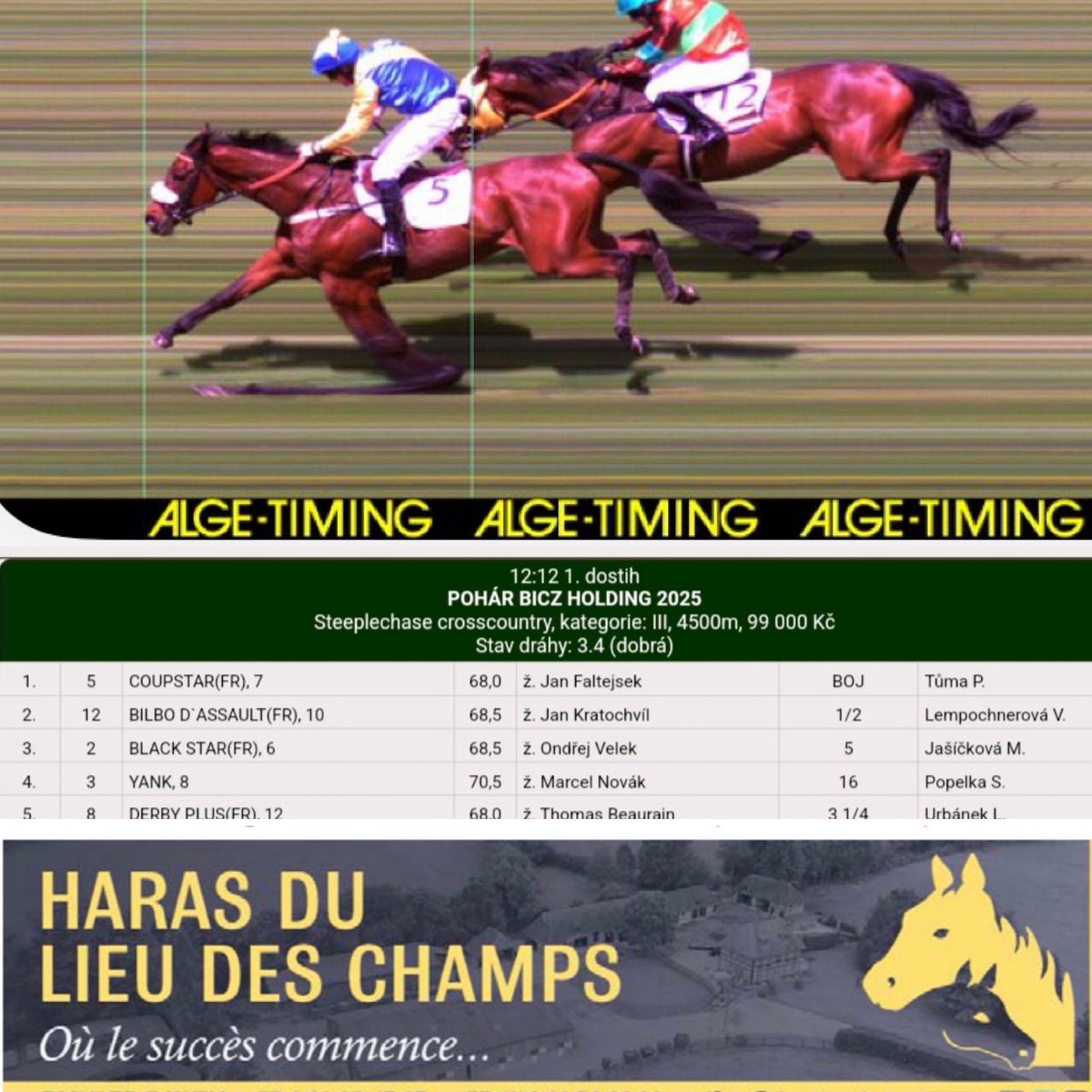 🏆COUPSTAR 💙💛 wins over cross-country at <a href="/Pardubice/">Pardubice</a> for Team Vana.

✔️Sold by Lieu des Champs at <a href="/InfoArqana/">ARQANA</a> 

Meet us at the July Sale 🏖️at Deauville