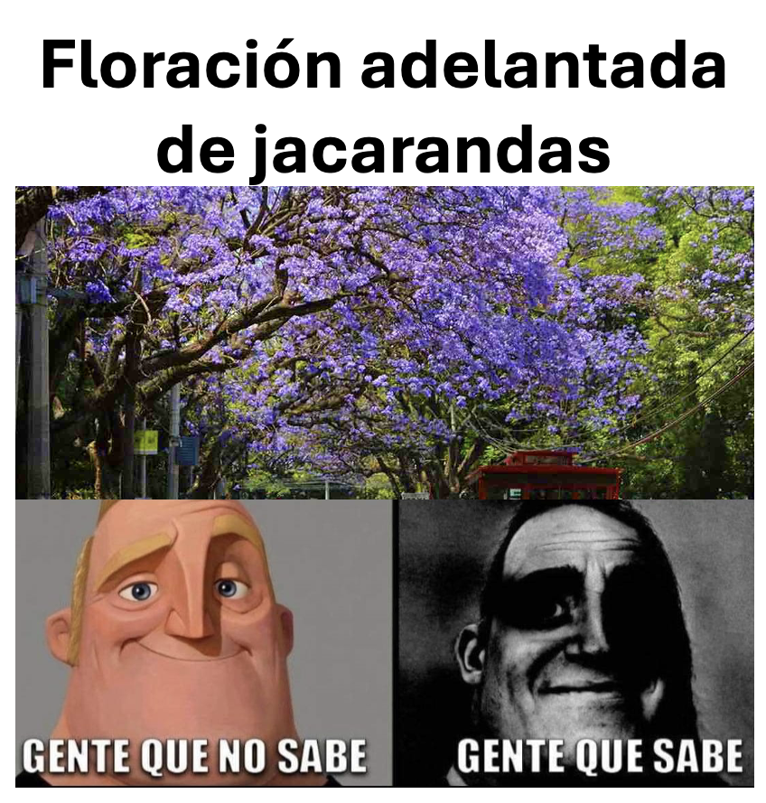 Enséñame de Ciencia tweet media