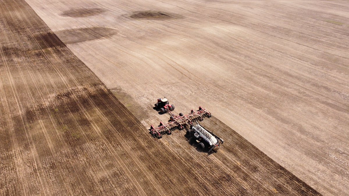 Mike Prpich tweet media