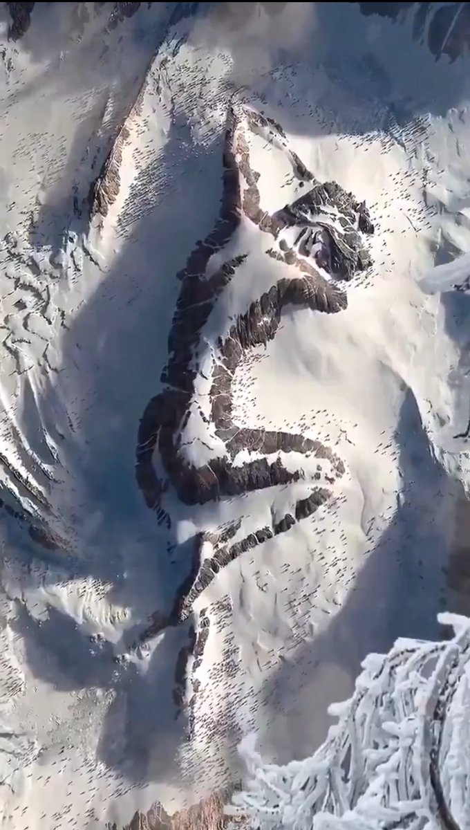 When She Cries- Restless Heart 💛💛 youtu.be/sSN4ybN0jzg?si… 💛💛 🎸🎸🎸🎸🎸🎸🎸🎸🎸🎸🎸🎸🎸🎸🎸🎸🎸🎸🎸🎸🎸Feliz sabadete y bonito domingo. 🎸🎸🎸🎸🎸🎸🎸🎸🎸🎸🎸🎸🎸🎸🎸🎸🎸🎸🎸🎸🎸🎸💛💛