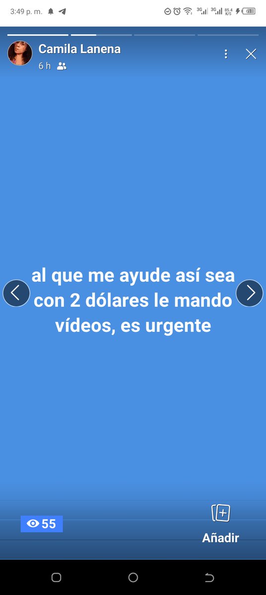 cat marie tweet media