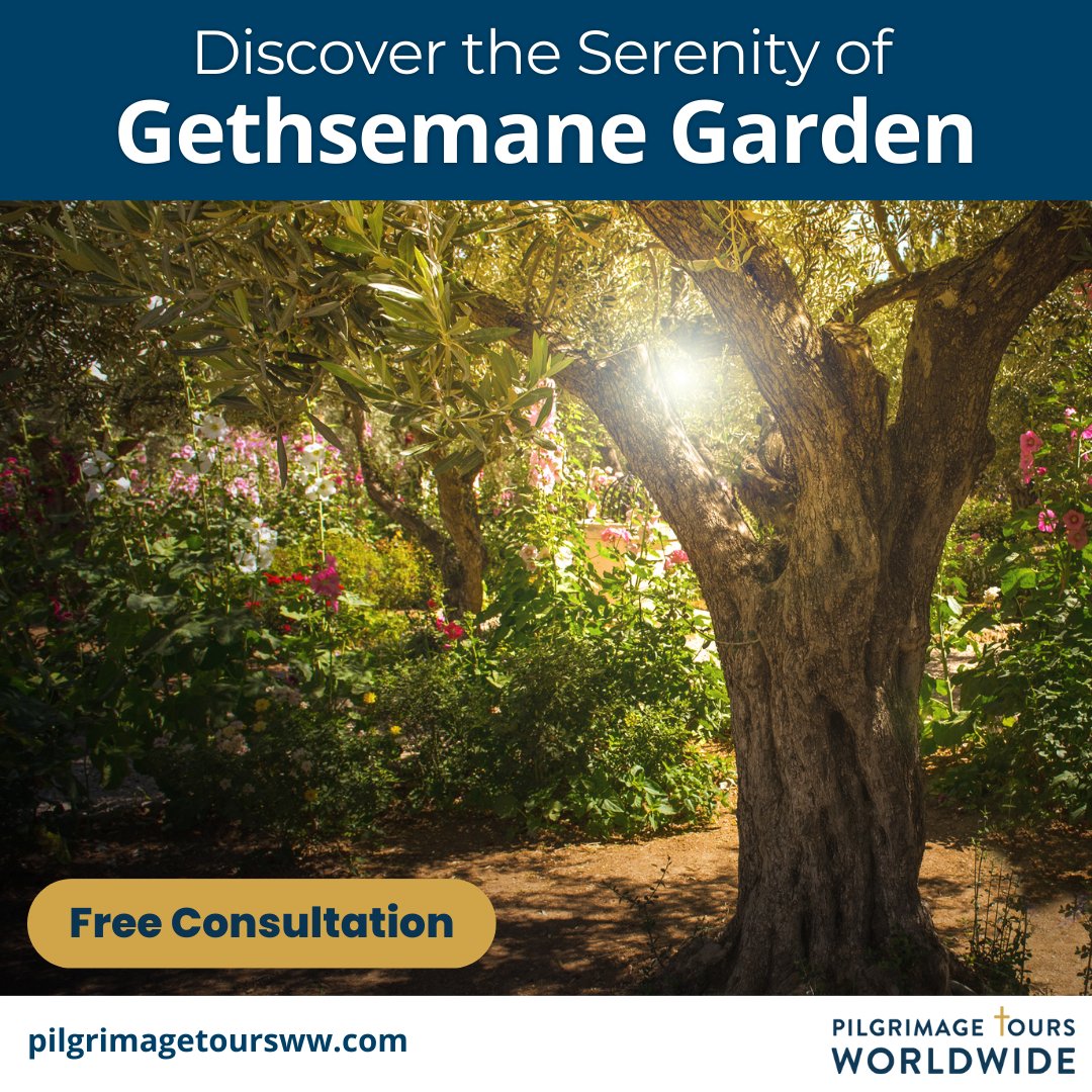 Pilgrimage Tours Worldwide tweet media