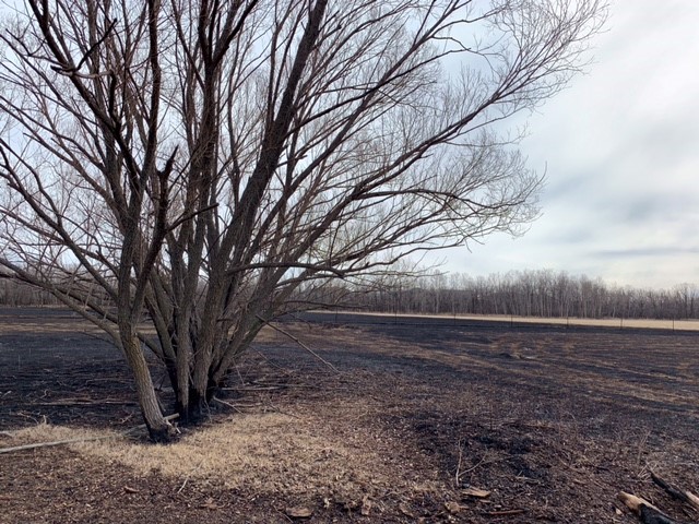 cityofwinnipeg's tweet image. Learn how to make your property #firesmart with these tips from the #Winnipeg Fire Paramedic Service: winnipeg.ca/wildlandfires