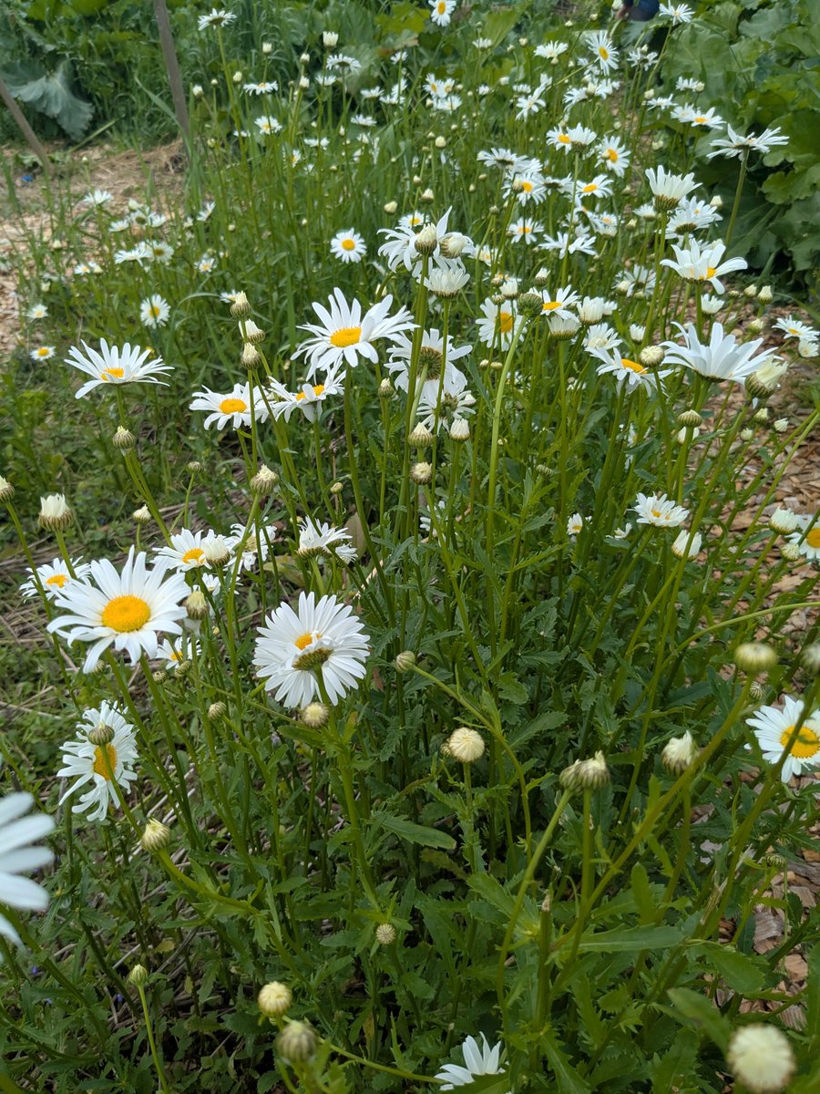 To brighten your day