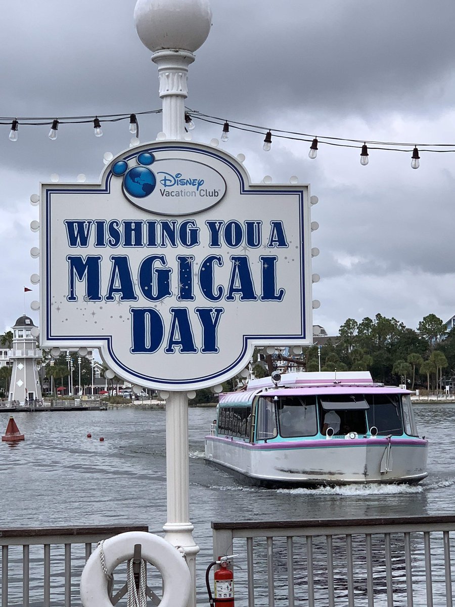 WDWDVC🌴 tweet media