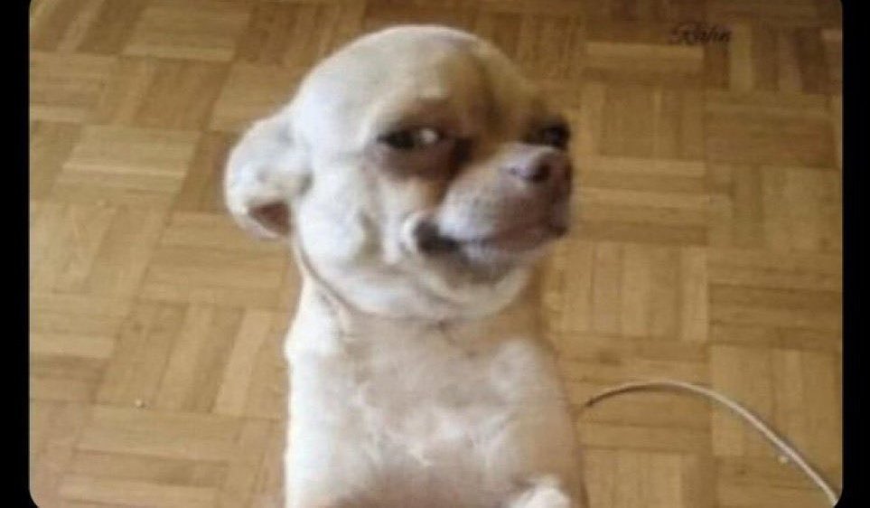 Artist but you can’t even draw attention of a single woman, loneliness won kee you.

Ehn na you i dey follow talk. Wetin you go do? 🫵🫵