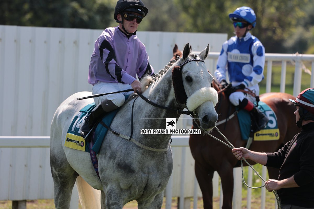 Rory Fraser Photography🤘 (@92roryf) on Twitter photo FIRST FOLIO (Dark Angel x Lilian Baylis) at York last week for a class two handicap (6f)
Trained by <a href="/JCamachoRacing/">Julie Camacho Racing</a> and owned by <a href="/ownersgroupuk/">Owners Group</a>
Winning for the fourth time in his career in September 2024. A three time winner at Yarmouth. FIRST FOLIO (Dark Angel x Lilian Baylis) at York last week for a class two handicap (6f)
Trained by <a href="/JCamachoRacing/">Julie Camacho Racing</a> and owned by <a href="/ownersgroupuk/">Owners Group</a>
Winning for the fourth time in his career in September 2024. A three time winner at Yarmouth.