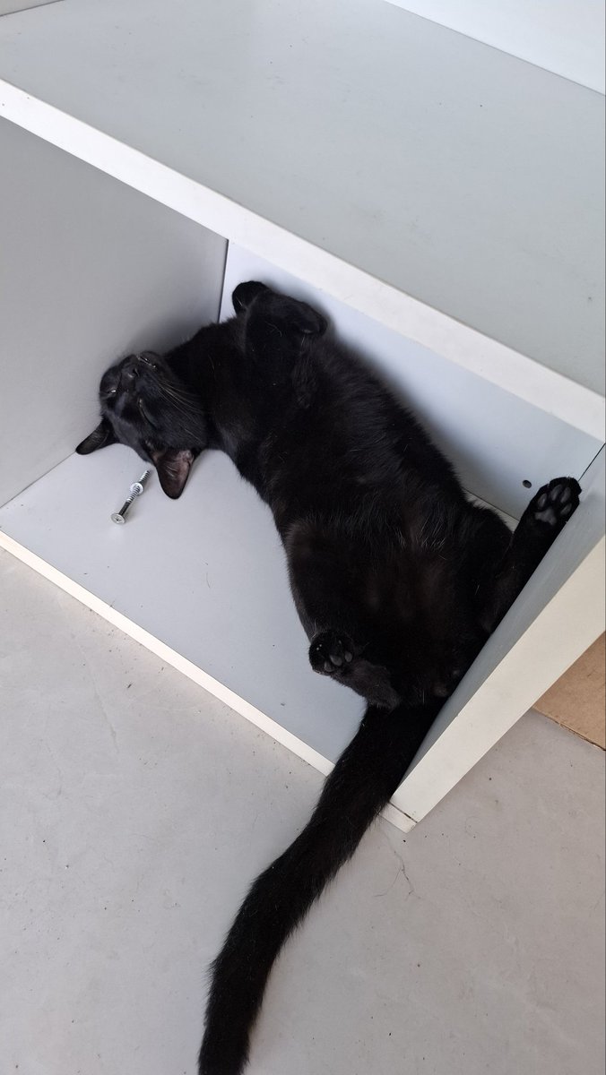 <a href="/smashdirt/">sluj</a> I love Bro so much😭😭❤️
I even have a live action version at home