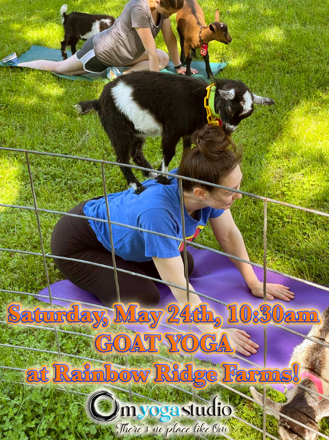 TammyZsYoga's tweet photo. 👉 Get ready for the first #GOATYogaClass starting THIS Saturday, May 24th @ 10:30am! 🐐🧘‍♀️😃

🎉 There will also be another class on Tuesday, May 27th @ 6pm at #RainbowRidgeFarms B&amp;B #Onalaska / #LaCrosseWi!! 🎊

This will be the schedule for All Summer! 😃 🙌
... https://t.co/2GVxq7o20E