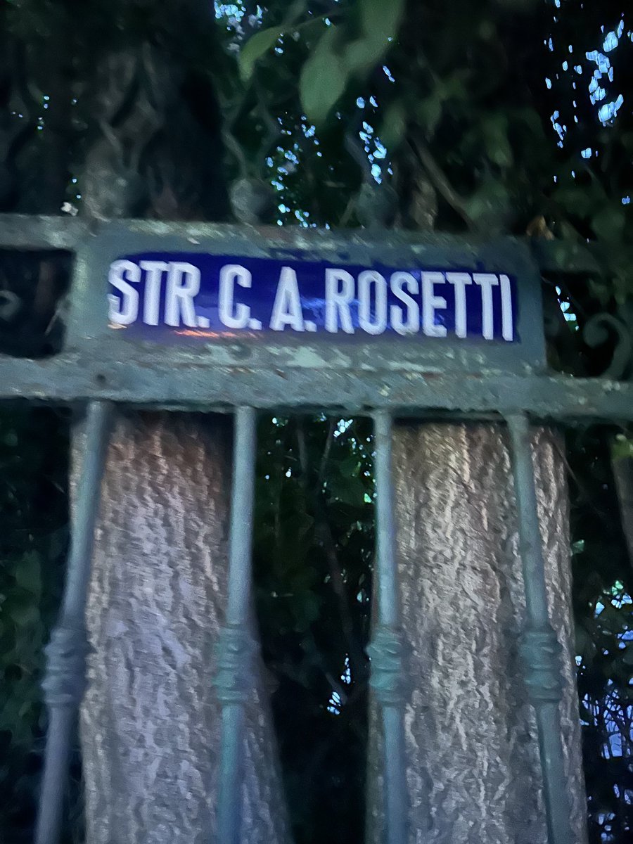 Bucharest honeysuckle and jet lag 🖤