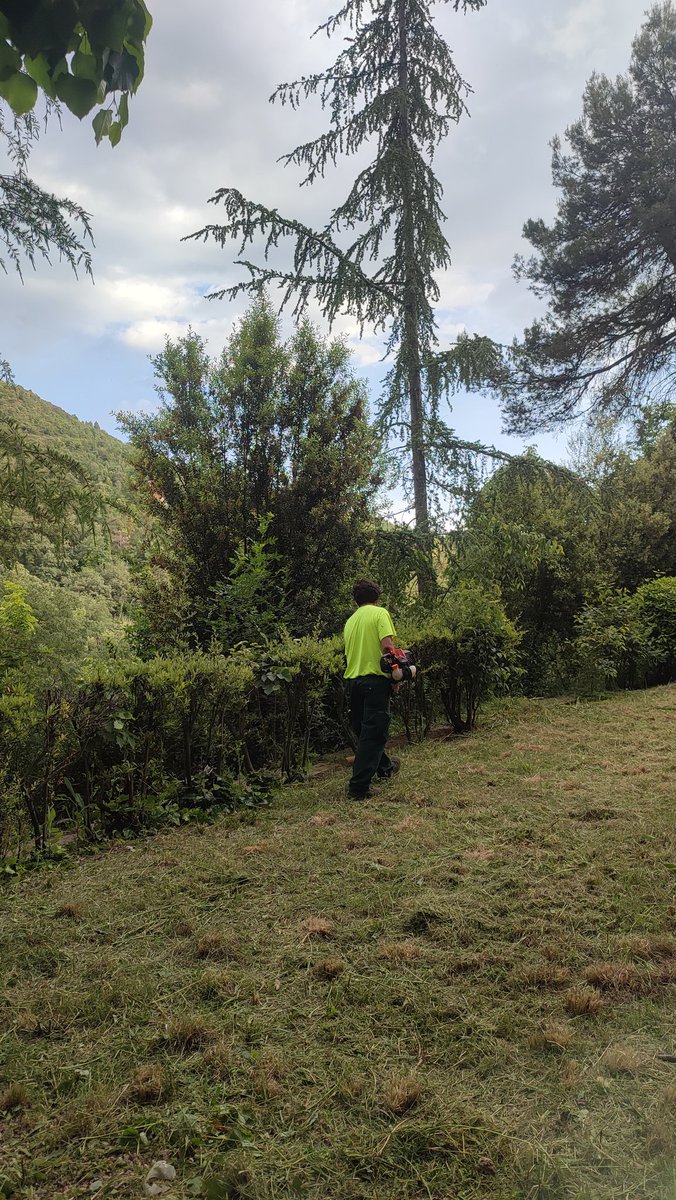 Associacioveins's tweet image. Avui a Cal Prat hem fet la Jornada de neteja i jardineria, hem desbrossat varis jardins de la colònia, hem fet la poda d'alguns arbres, etc... Moltes gràcies a tothom que ha vingut a fer de voluntari amb aquesta jornada d'avui. Tambè donar gràcies a @AjPuigreig i Tranvinyots.