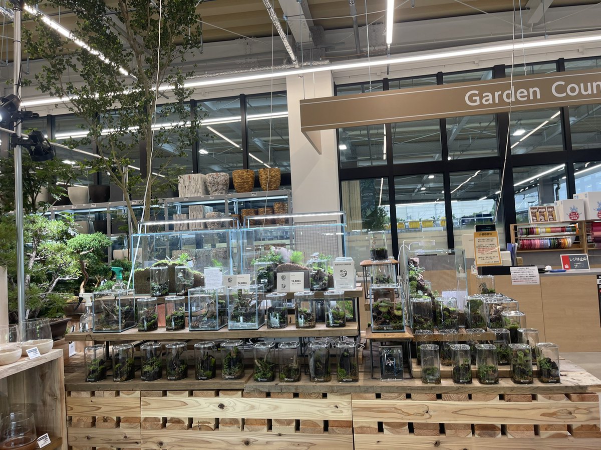 本日、トイ吉とスーパービバホーム目垣店園芸売場にてYouTube撮影を行います！
プランツカップにテラリウム、テラリウム資材を取り揃えて私もブースに夕方までいますのでぜひともお越しください！