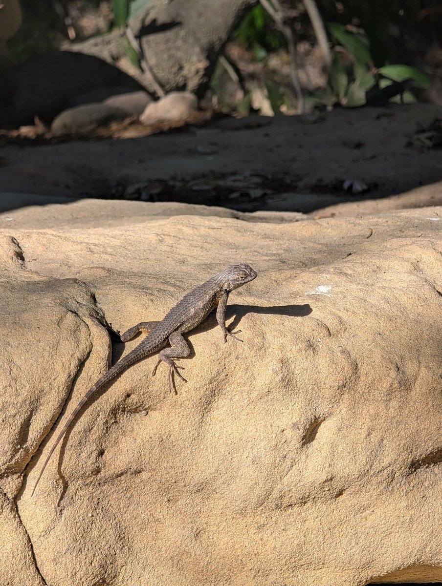 Share photos taken with your phone 🤳