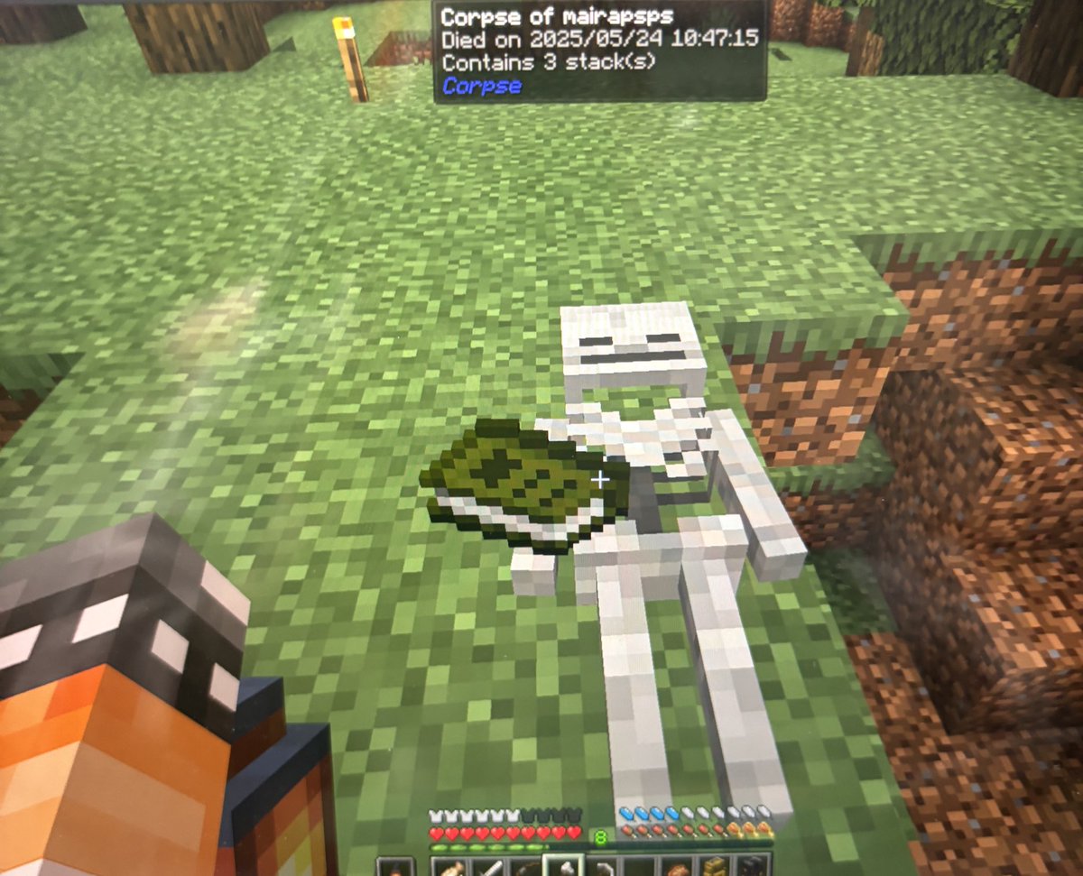 To doente acabada, foi muito bom recarregar minhas energias com 8h seguidas jogando Minecraft e morrendo mais de 30 vezes solando um barco pillager com apenas coisas de pedra. Foda ☝️

Um beijo <a href="/myozcuties/">maira</a> pela participação especial