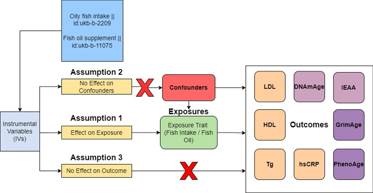 Agingdoc⭐David Barzilai🔔MD PhD MS MBA DipABLM🩺 (@agingdoc1) on Twitter photo Causal impact of genetically-determined fish and fish oil intake on epigenetic age acceleration and related serum markers
Paul Fabian, <a href="/gblander1/">Gil Blander, PhD</a>, Renee Deehan, <a href="/ATorkamani/">Ali Torkamani</a>, and Bartek Nogal
🔗humgenomics.biomedcentral.com/articles/10.11…
"Our analysis shows that consuming fish oil, whether Causal impact of genetically-determined fish and fish oil intake on epigenetic age acceleration and related serum markers
Paul Fabian, <a href="/gblander1/">Gil Blander, PhD</a>, Renee Deehan, <a href="/ATorkamani/">Ali Torkamani</a>, and Bartek Nogal
🔗humgenomics.biomedcentral.com/articles/10.11…
"Our analysis shows that consuming fish oil, whether