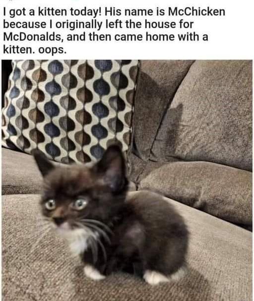 ❤️ 🍔 😹