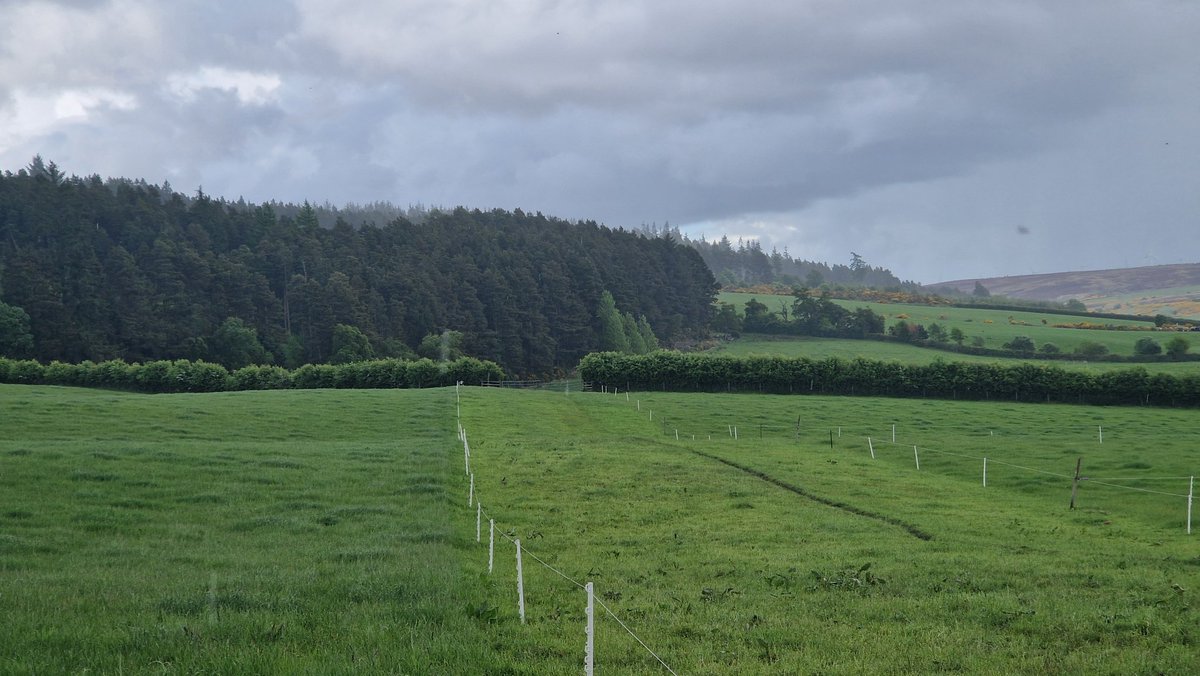 Not sure what i expected from the no fence collars but fair impressed. Had them in a lane way and used the virtual fence to move them along it. Photos don't do it justice but it's kept them in! Changes temperament which I'm not comfortable with but will see how it settles down.