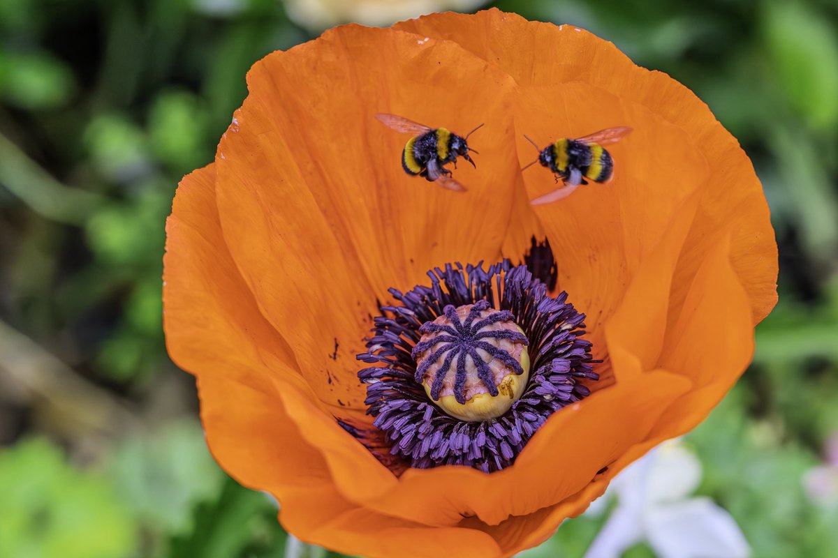 Greg Charman (@gregory_b_c) on Twitter photo 