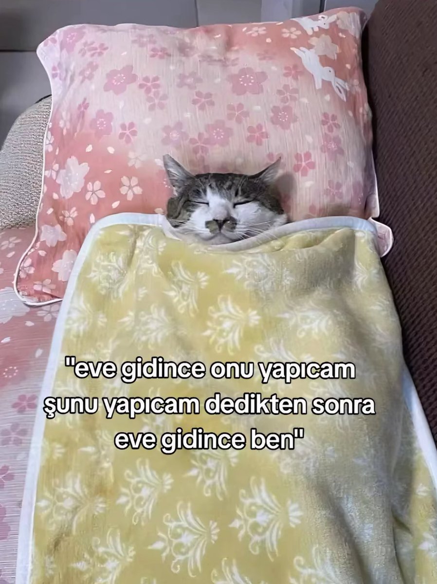 su de (@artikbidur) on Twitter photo 