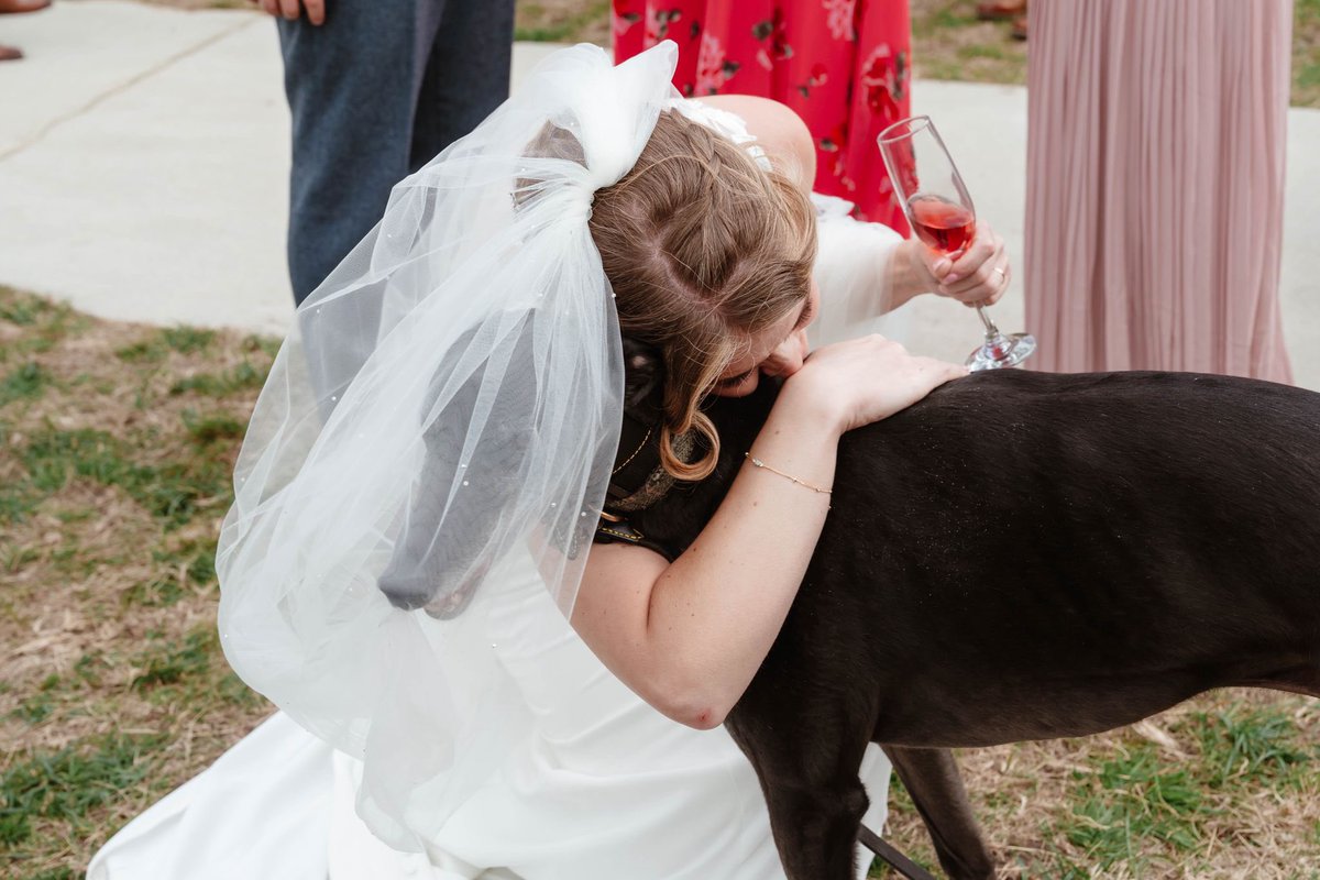 Bride and greyhound yesterday 

#RetiredNotRescued