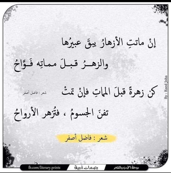⚘
<a href="/Al_Yaaaafai/">شيخ اليافعي</a> 
<a href="/star_o01/">فُلّ..</a> 
<a href="/YBwpHxxolrnx3LZ/">zuhur aljanub</a> 
<a href="/HusseinNam34018/">عميد/علويه علوه حالمي</a> 
<a href="/Spirit__N/">مـَـــارِدة ♩</a> 
<a href="/1000258729464g4/">محمد السناني@ mohamd4S</a> 
<a href="/M5january/">مِــنــى🇵🇸 🔻</a> 
<a href="/hgrUHhPqzd7ksaY/">جيهان</a> 
<a href="/Khslmi62/">م/خالد سلمي</a> 
<a href="/omar_yafei/">عمر اليافعي# عدن</a> 
<a href="/Umibrah22403876/">أم إبراهيم</a> 
<a href="/bn_aden1/">ابوبكر فدعق</a> 
<a href="/hanikahtan7/">هاني قحطان</a> 
<a href="/gsaan1355/">غسان شعفل</a> 
<a href="/MBamz3b/">محمد بامزعبbamz3b</a> 
<a href="/y77i88i/"> Abu Khaled</a> 
<a href="/SalhJmal23992/">صالح جمال</a>