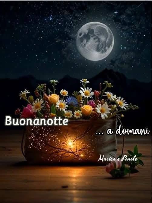 RITABIANCHi56 tweet media