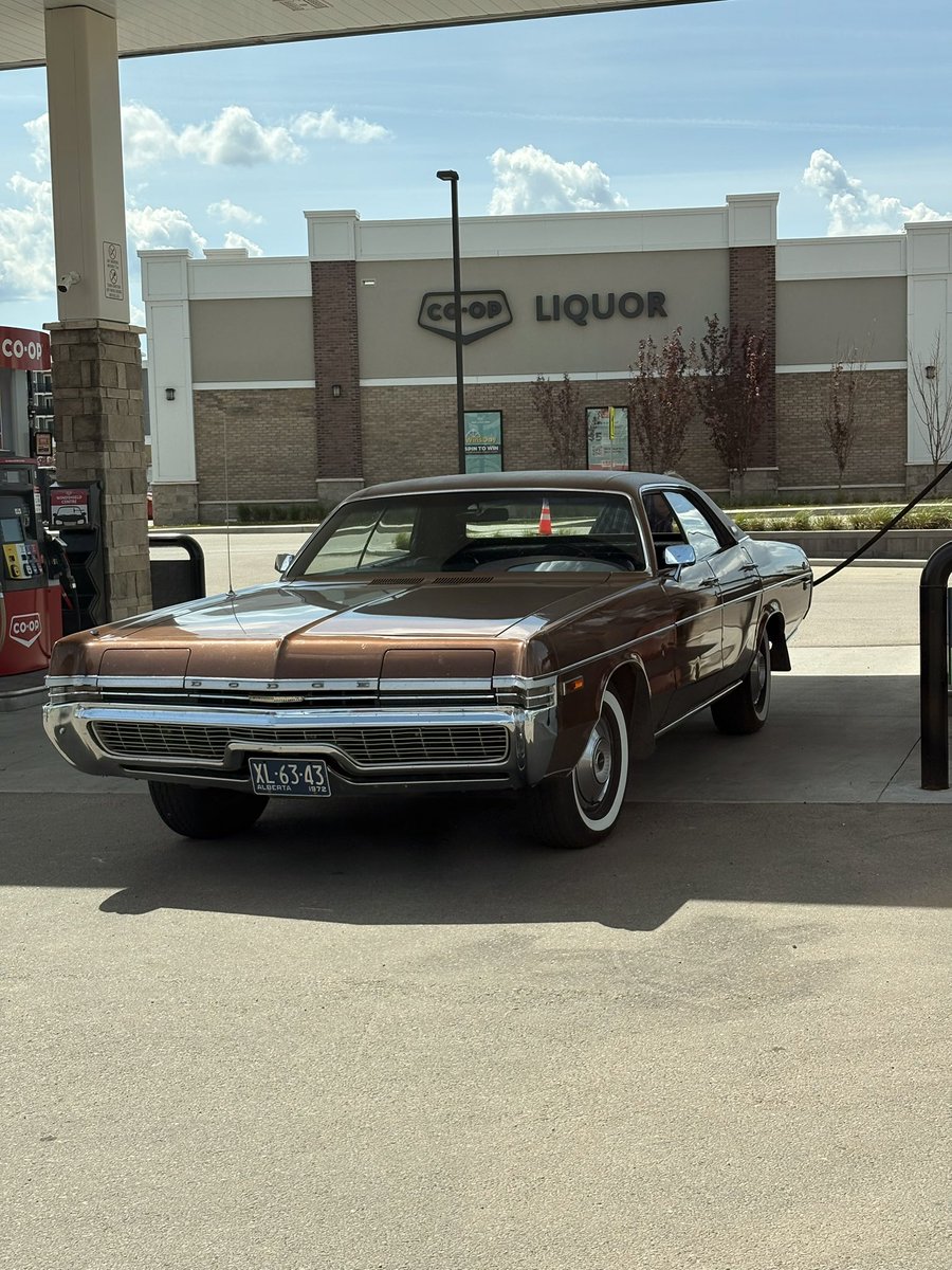 Spotted fuelling up in the wild <a href="/Bob_Janke/">Böb Jänke: Hönkÿ</a>