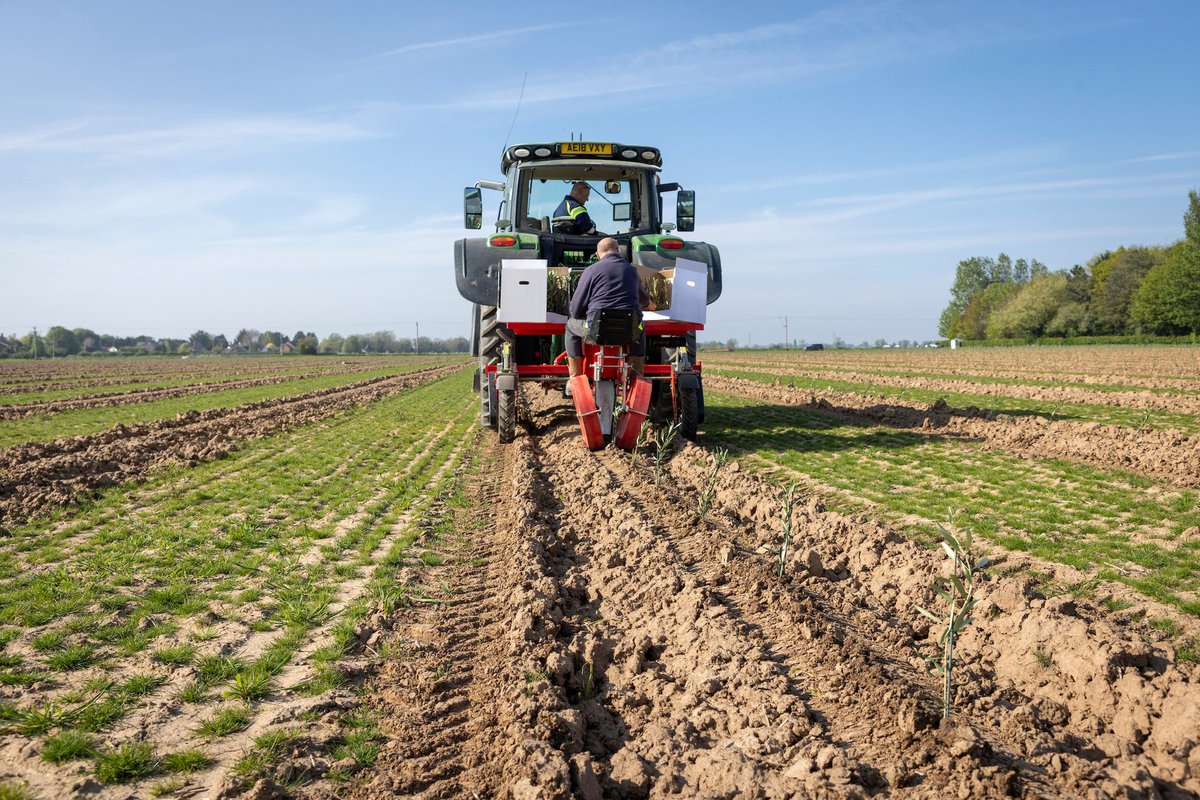 David Hoyles tweet media