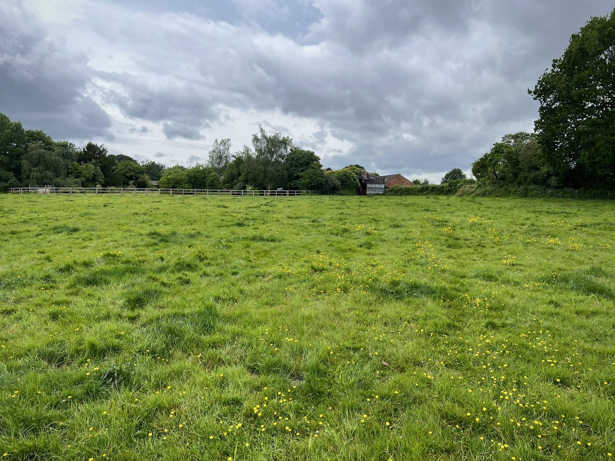 Boycefield Herefords tweet media