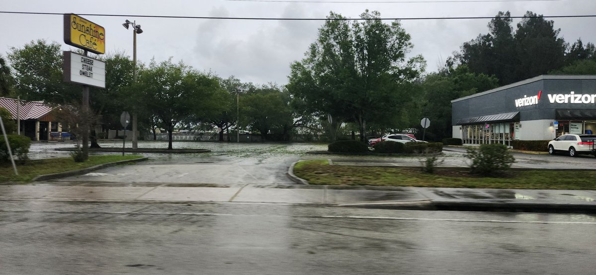 WeatherManSeek (@weathermanseek) on Twitter photo Hailstorm shredded several trees in Palm Bay. #FLwx #wxtwitter <a href="/NbergWX/">Noah Bergren</a> <a href="/fox35stormteam/">FOX 35 Storm Team</a> <a href="/NWSMelbourne/">NWS Melbourne</a> <a href="/EricBurrisWESH/">Eric Burris</a> . Hailstorm shredded several trees in Palm Bay. #FLwx #wxtwitter <a href="/NbergWX/">Noah Bergren</a> <a href="/fox35stormteam/">FOX 35 Storm Team</a> <a href="/NWSMelbourne/">NWS Melbourne</a> <a href="/EricBurrisWESH/">Eric Burris</a> .